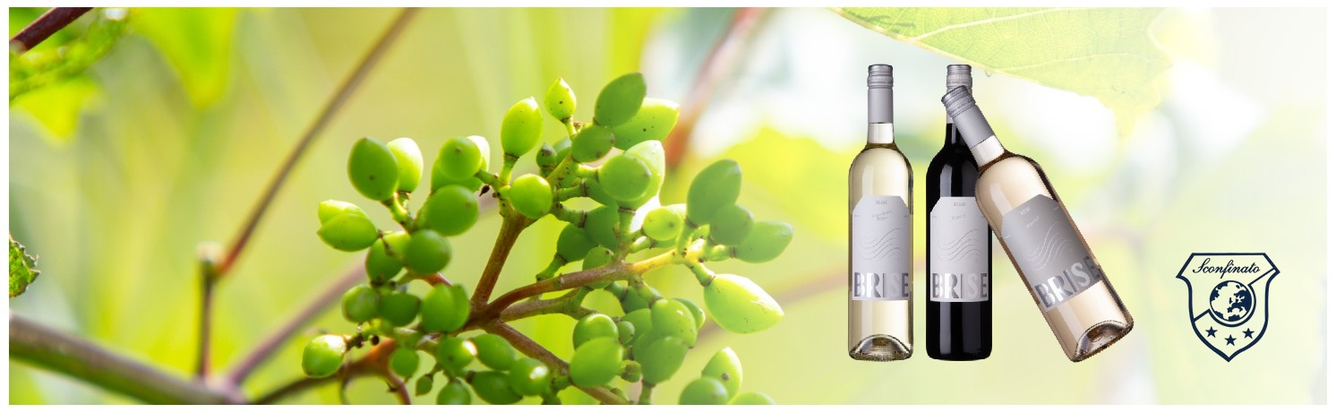 2x Brise wit, 2x rood en 2x rosé: Sconfi-deal!